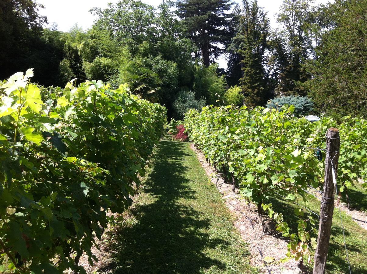 Chateau De Beaulieu โซมูร์ ภายนอก รูปภาพ